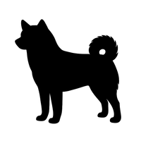 Length